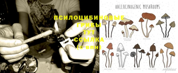 экстази Баксан