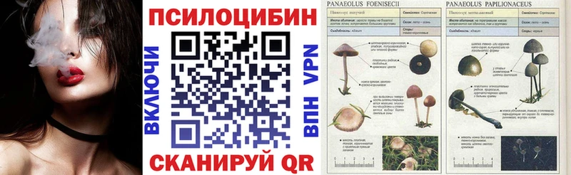 Псилоцибиновые грибы Psilocybe  Краснокаменск 